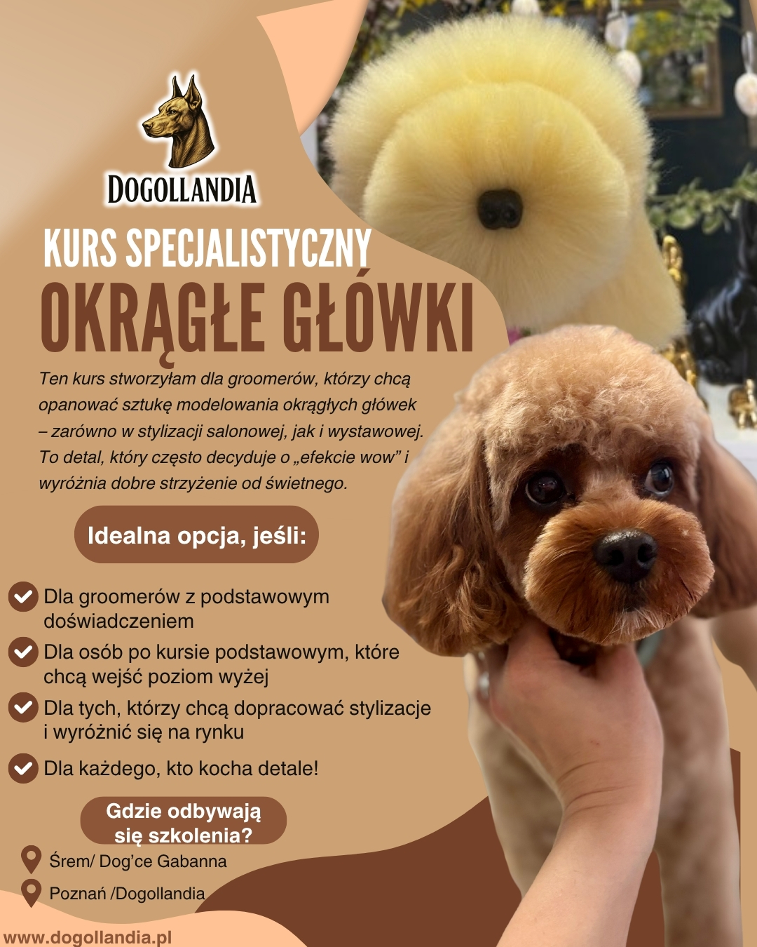 Blue and White Modern Mobile Pet Grooming Services Facebook Post (1)