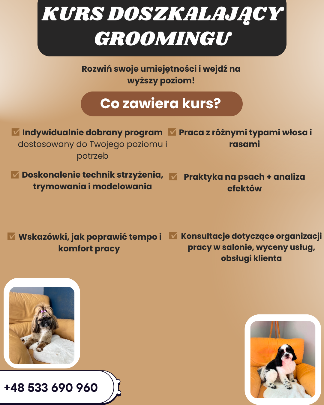 Blue and White Modern Mobile Pet Grooming Services Facebook Post (1)