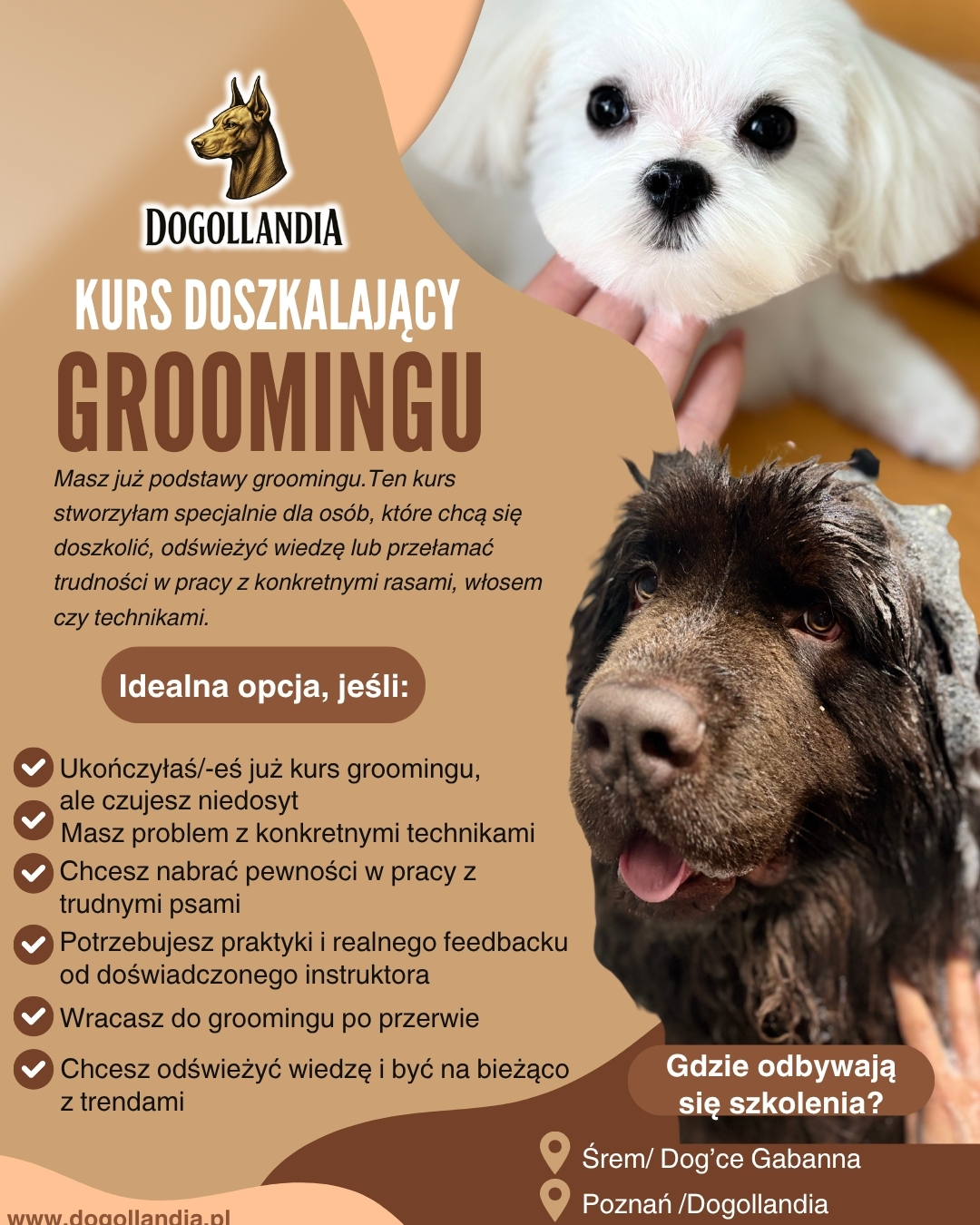 Blue and White Modern Mobile Pet Grooming Services Facebook Post (2)