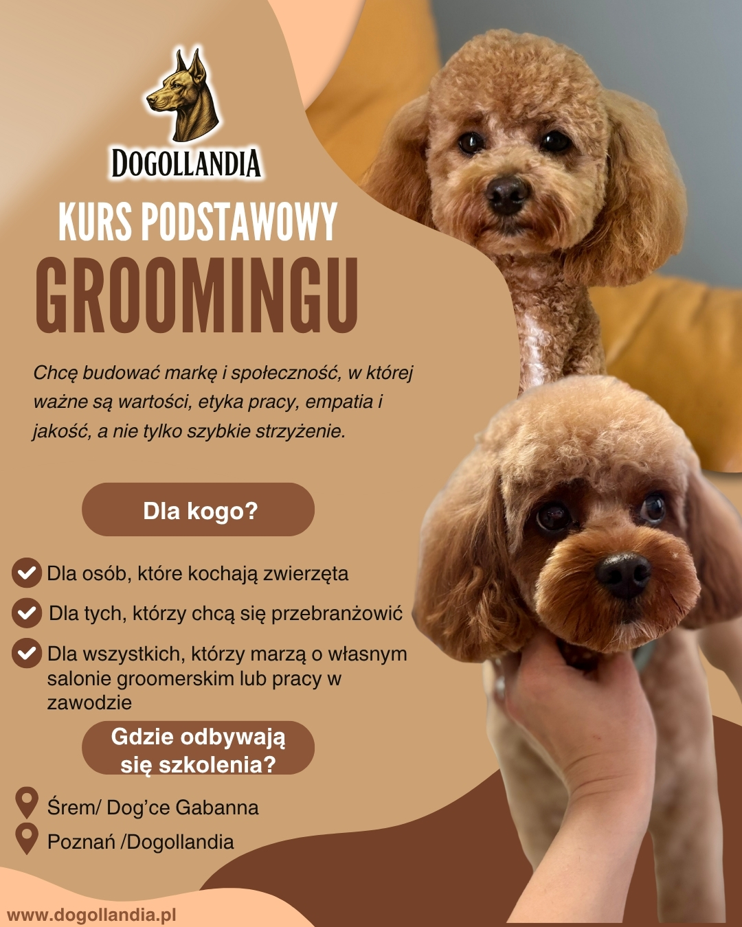 Blue and White Modern Mobile Pet Grooming Services Facebook Post (3)