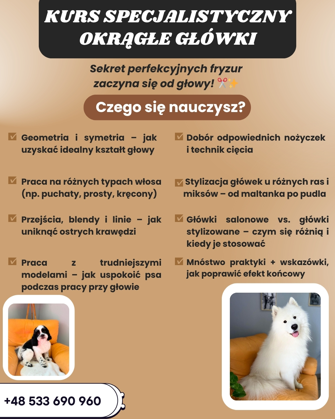 Blue and White Modern Mobile Pet Grooming Services Facebook Post