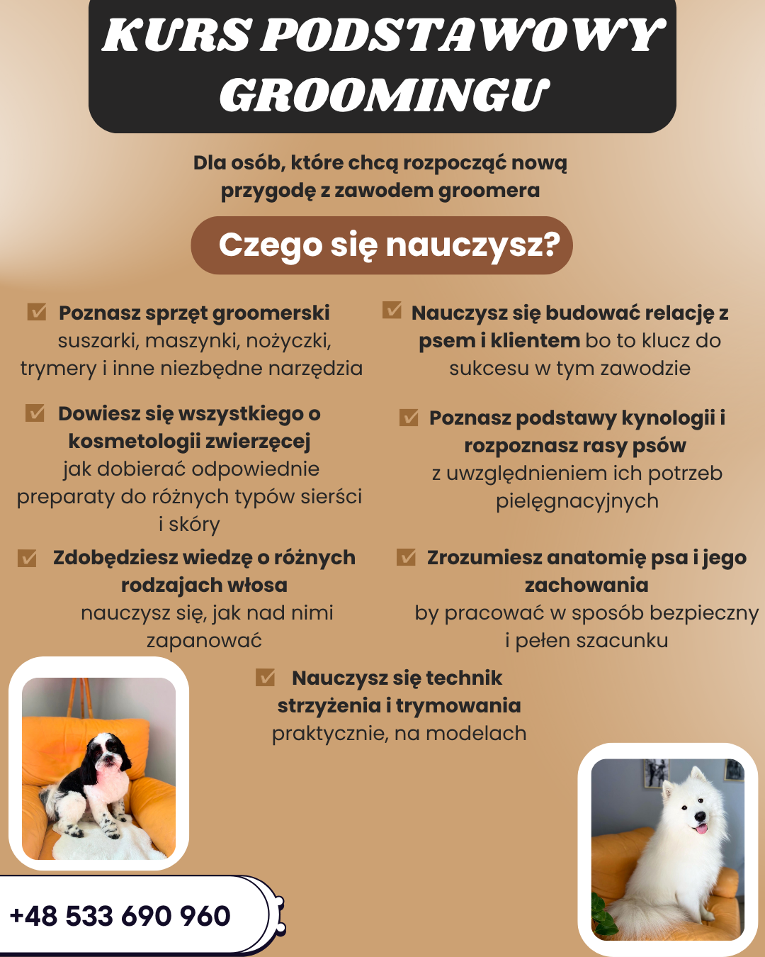 Blue and White Modern Mobile Pet Grooming Services Facebook Post