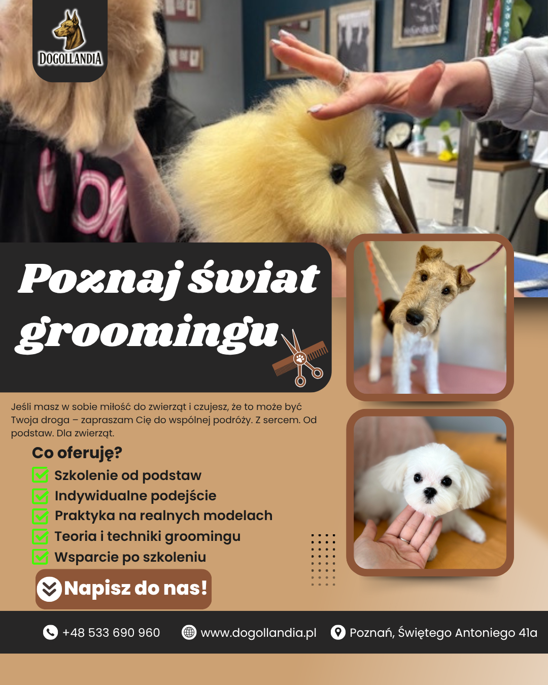 Brown and White Playful Pet Grooming Services Instagram Post (2)