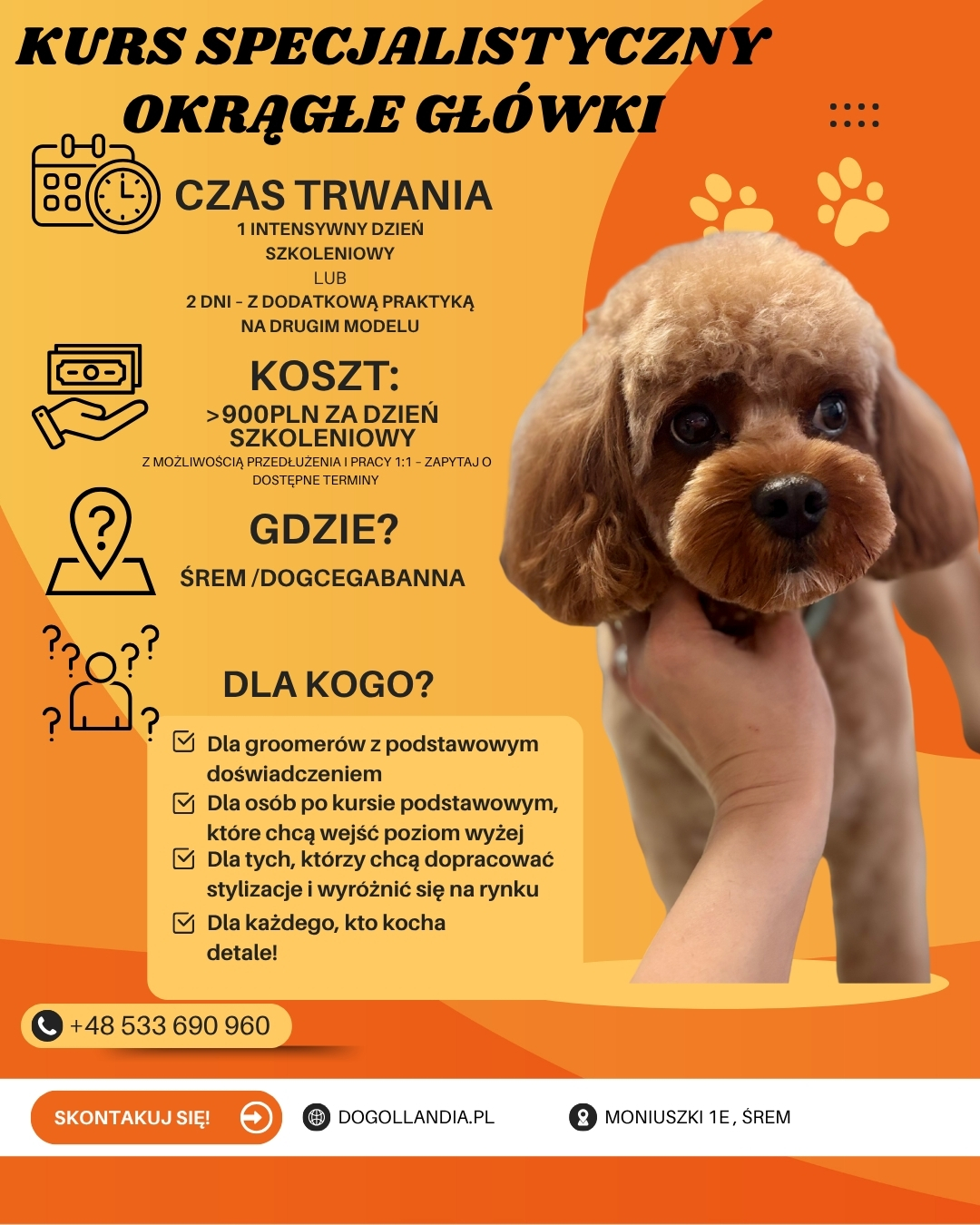 Orange Modern Pet Grooming Service Instagram Post (1)