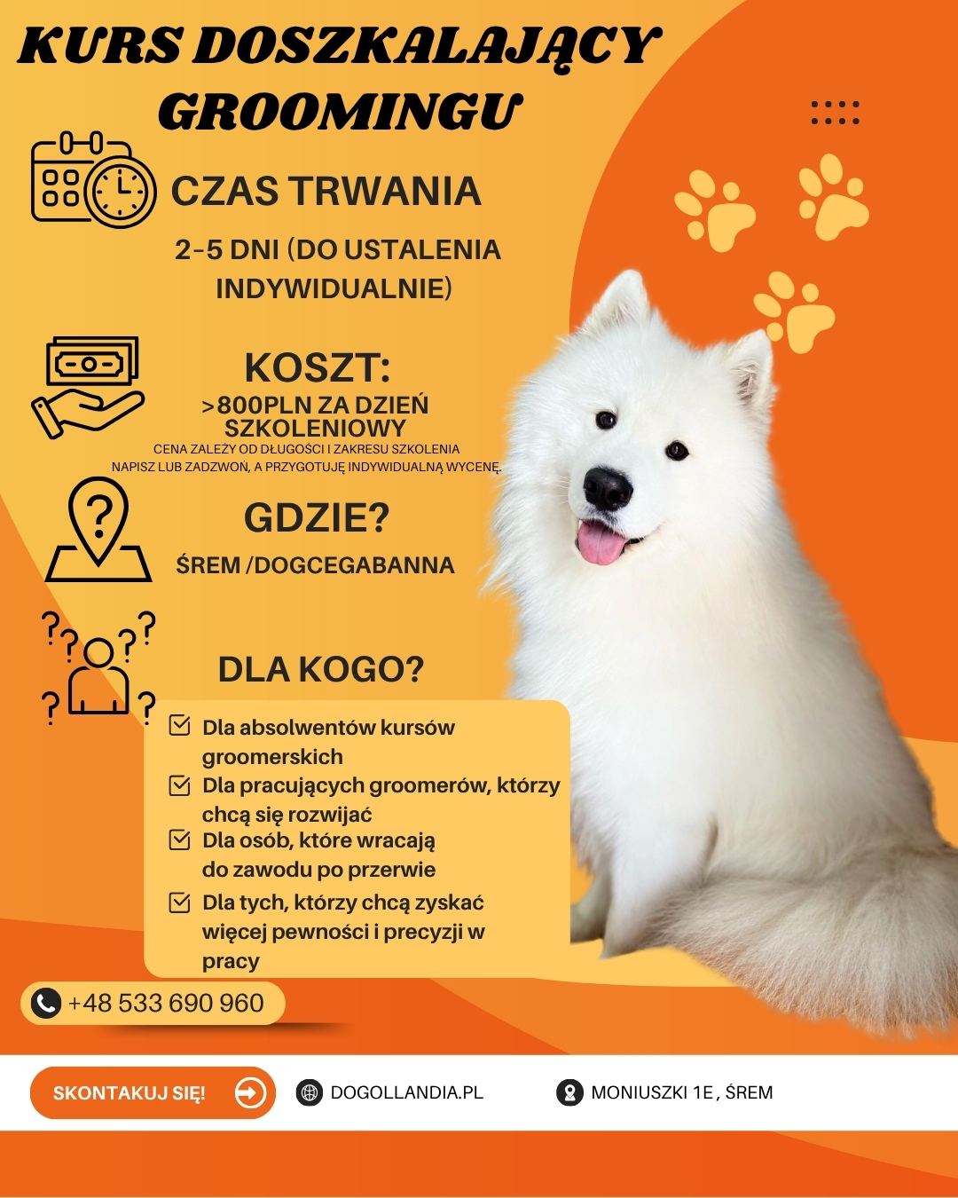 Orange Modern Pet Grooming Service Instagram Post