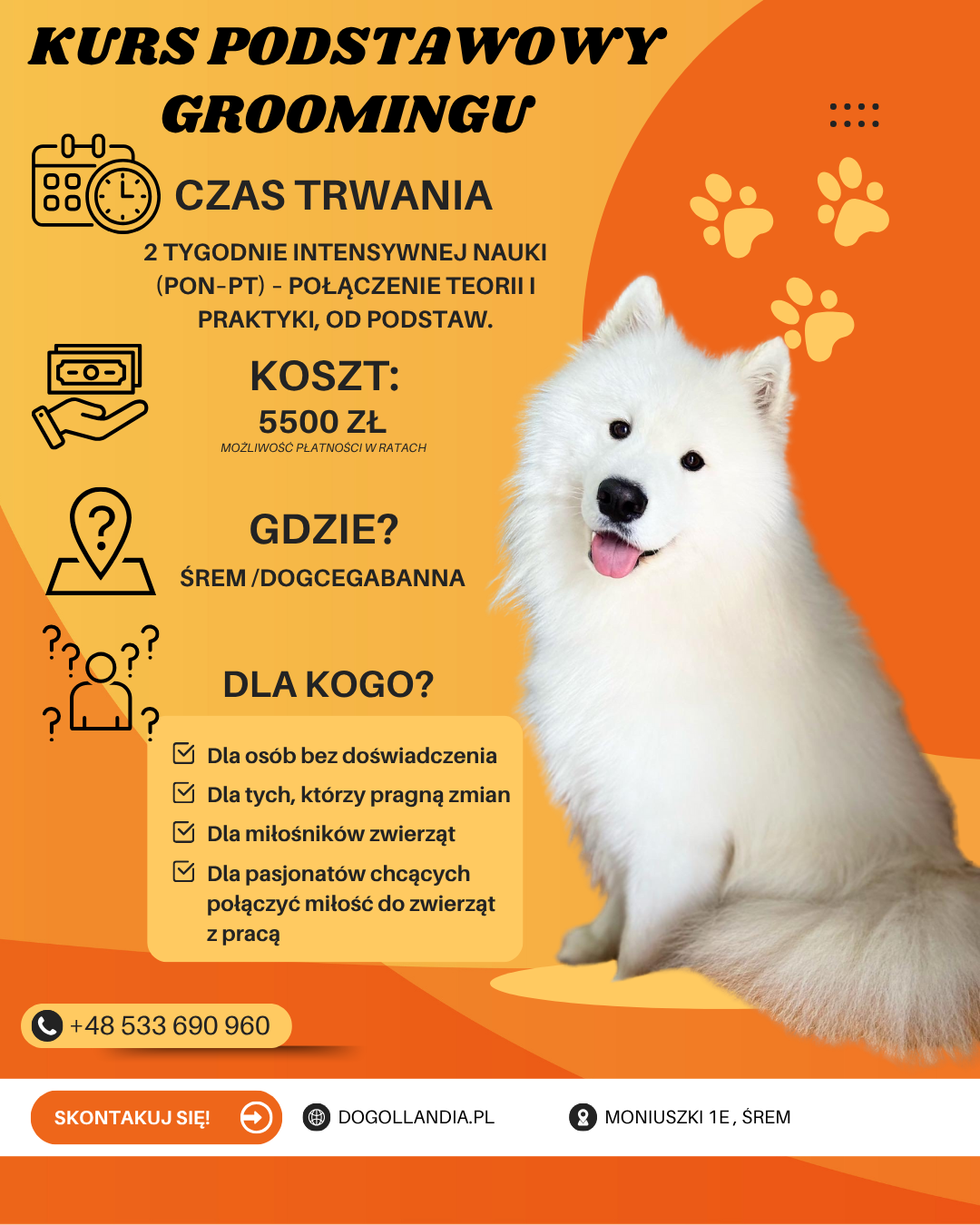 Orange Modern Pet Grooming Service Instagram Post